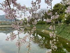 -必胜客(远大路店)