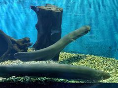 -石林冰雪海洋世界