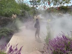 -黄贤森林公园