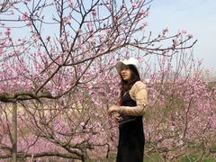-秀丽东方