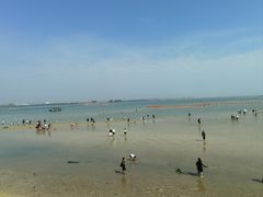 -北海金海湾红树林生态旅游区