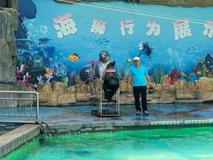 -合肥野生动物园