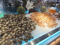 -星海汇海鲜烤肉火锅自助(二七广场百年德化店)