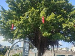 -石炮台公园