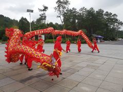 -九龙江国家森林公园