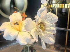 -Hi City·城市之巅