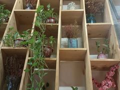 -小草大排档(北沙坡店)