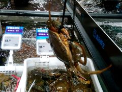 -盒马鲜生(曜一城店)