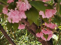 -山东大学(软件园校区)