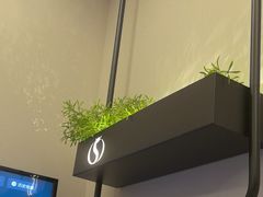 -华夏良子·足道SPA艾灸(铁道大厦店)