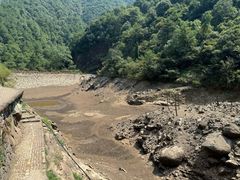 -大奇山国家森林公园