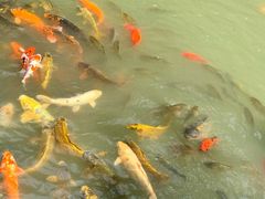 -成都杜甫草堂博物馆