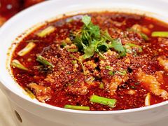 -丁老爷子苏香圆