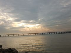 -宝安西湾红树林湿地公园