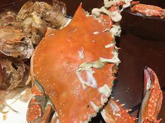 -渔民船说·北塘海鲜·天津菜·海肠捞饭(北塘古镇店)