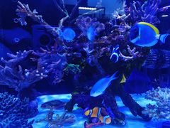 -双季花艺园艺市场(浦东店)