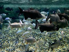 -成都浩海立方海洋公园