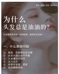 -木北造型