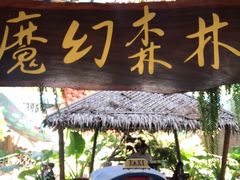 -The Ring Pavilion 魔幻森林