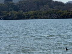 -柳莺湖上·湖景餐厅·江南菜(西湖店)