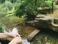 -桃花岭景区