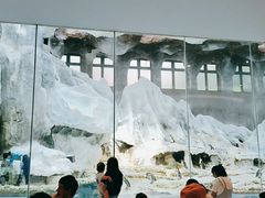 -帝企鹅自助餐厅•儿童岛•真企鹅(长隆企鹅酒店)