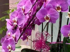 -登特口腔医院(鼓楼东街口店)