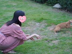 -府河摄影公园