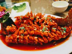 松鼠鱼-金牌餐厅·天津菜·八珍豆腐·老爆三(瓷房子店)