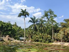 -中国科学院西双版纳热带植物园