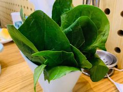 嫩叶小菠菜-青瓷火锅料理(西单大悦城店)