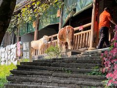 -巴倒烫陆派火锅山庄(南山总店)