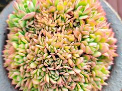 -瑞虹新天地月亮湾