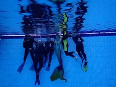 -奥林匹克体育中心游泳馆