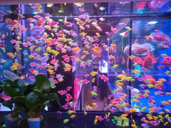 -青螺餐厅·家宴(松雅湖店)