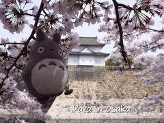 -金逸影城(名汇店)