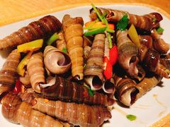 辣炒吸波螺-喝丢一只鞋海鲜烧烤·海肠捞饭(东关街店)