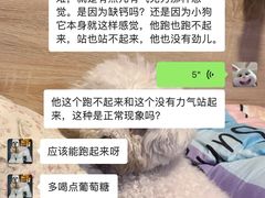 -中环花鸟鱼虫市场