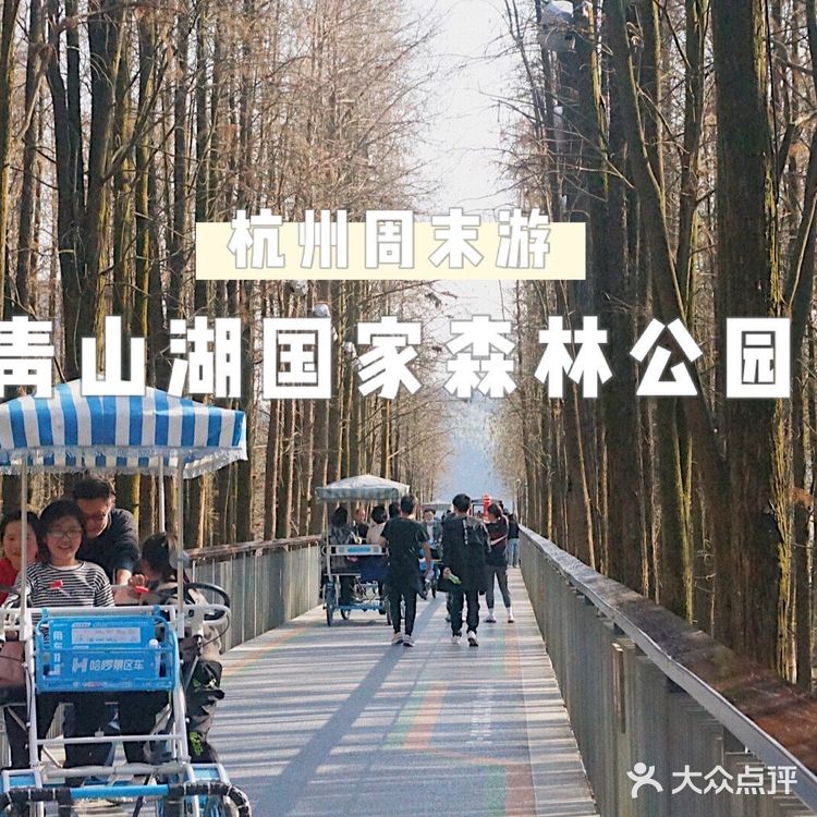 杭州周末游的好去处！临安青山湖国家森林公园