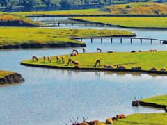 -溱湖国家湿地公园