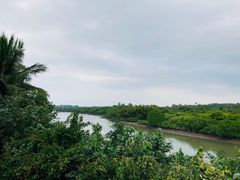 -东寨港红树林旅游区