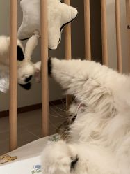-上海美华妇儿医院