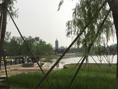 -西海子公园