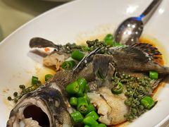 -正佳广场万豪酒店-粤菜餐厅·点心·海鲜·聚餐