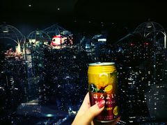 -东京都厅舍