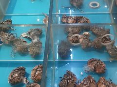 -大中华希尔顿酒店-念自助餐·嗨啤·小龙虾