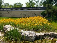 -武清南湖绿博园