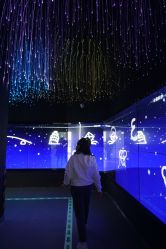 -北京科学中心儿童乐园