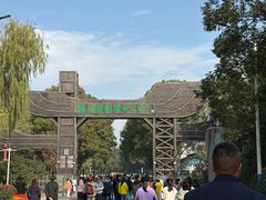 -溱湖国家湿地公园