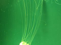 -沈阳海洋探索中心